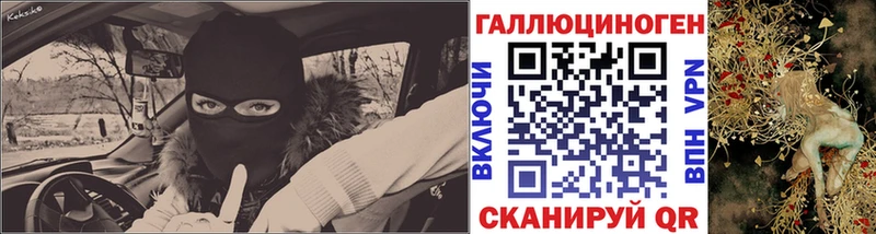 Галлюциногенные грибы MAGIC MUSHROOMS  купить наркотики цена  Великий Новгород 